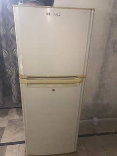 Singer Refrigerator