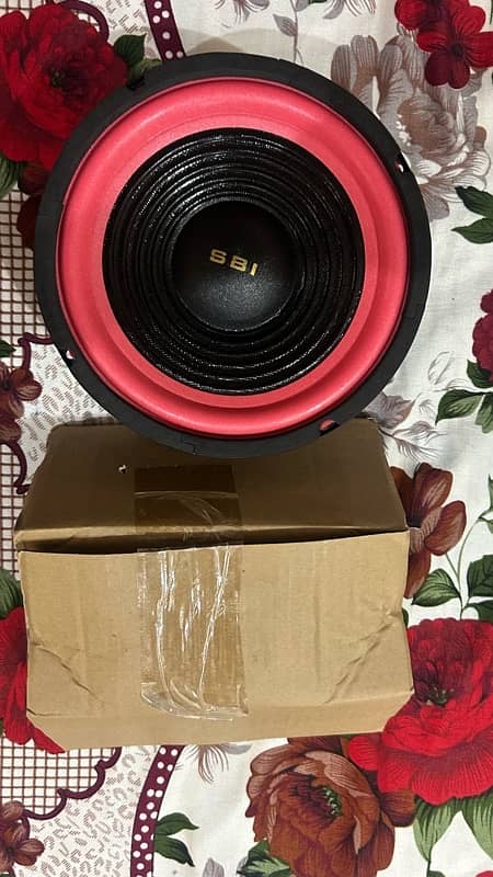 SBI woofers 250 WATTS 2