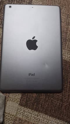 iPad