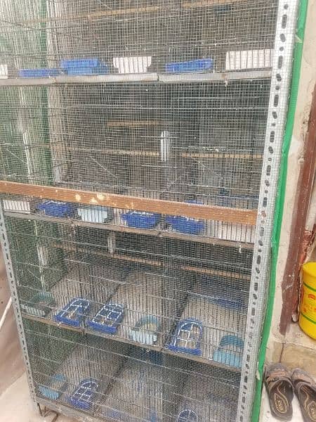 1.5x1.5 confirm 12 partition budgies cage 12 portion 1