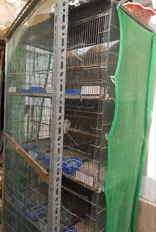 1.5x1.5 confirm 12 partition budgies cage 12 portion 2