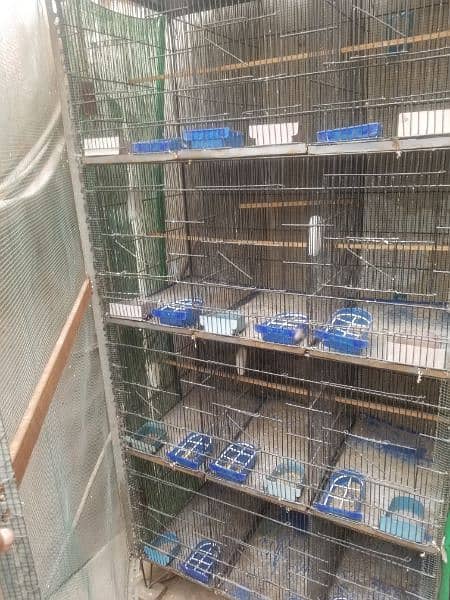 1.5x1.5 confirm 12 partition budgies cage 12 portion 3