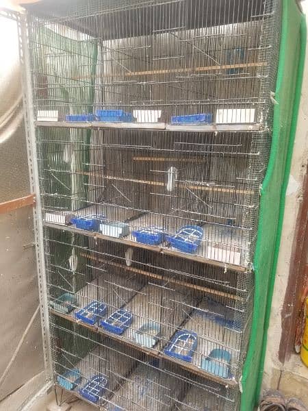 1.5x1.5 confirm 12 partition budgies cage 12 portion 4