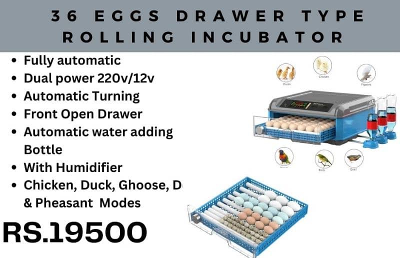 New models of birds eggs incubators available starting from 8 eggs 12