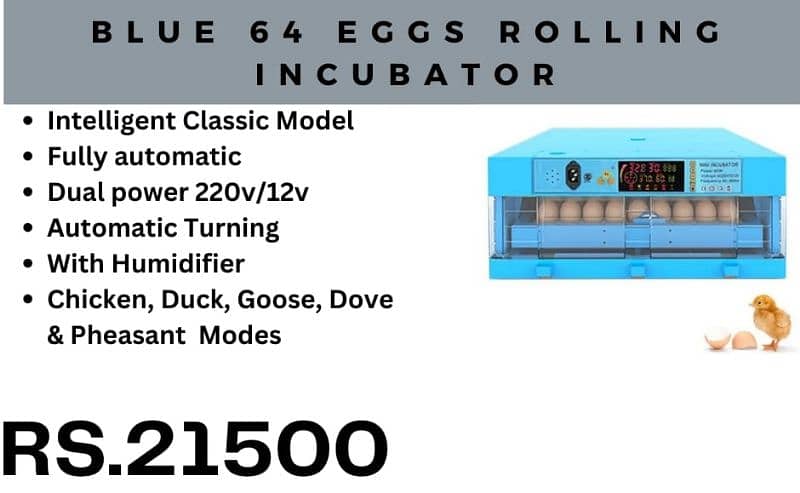 New models of birds eggs incubators available starting from 8 eggs 14