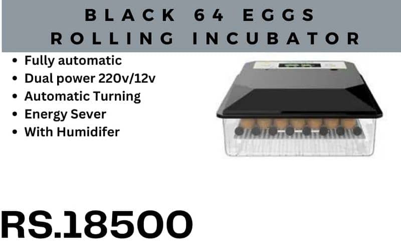 New models of birds eggs incubators available starting from 8 eggs 16