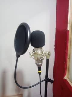 U 87 Professional Studio Condenser Microphone 0