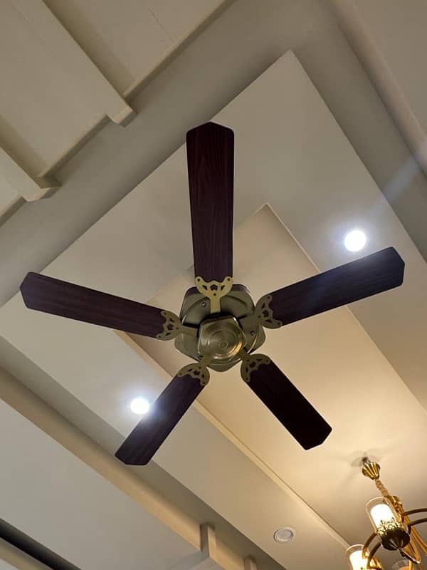 5 blade branded fan in excellent condition 0