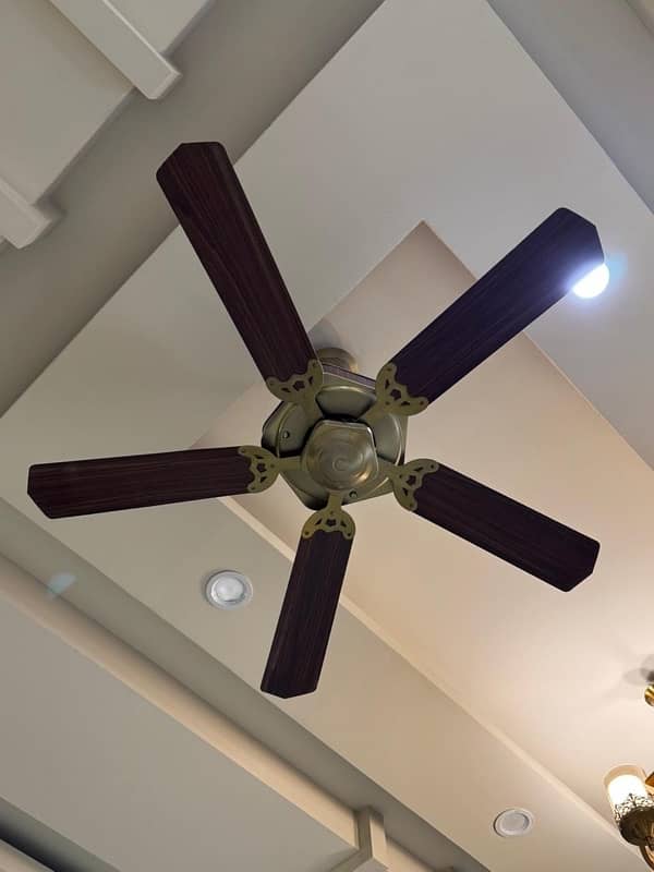 5 blade branded fan in excellent condition 1