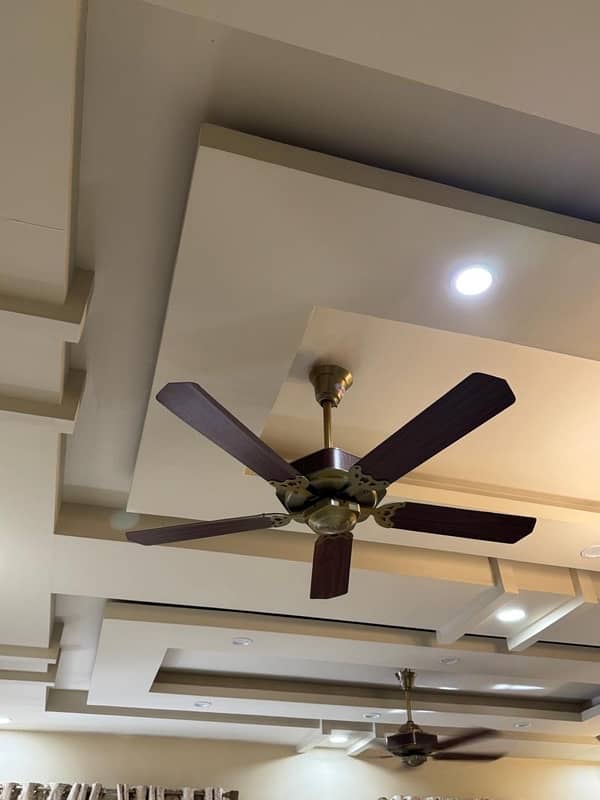 5 blade branded fan in excellent condition 2