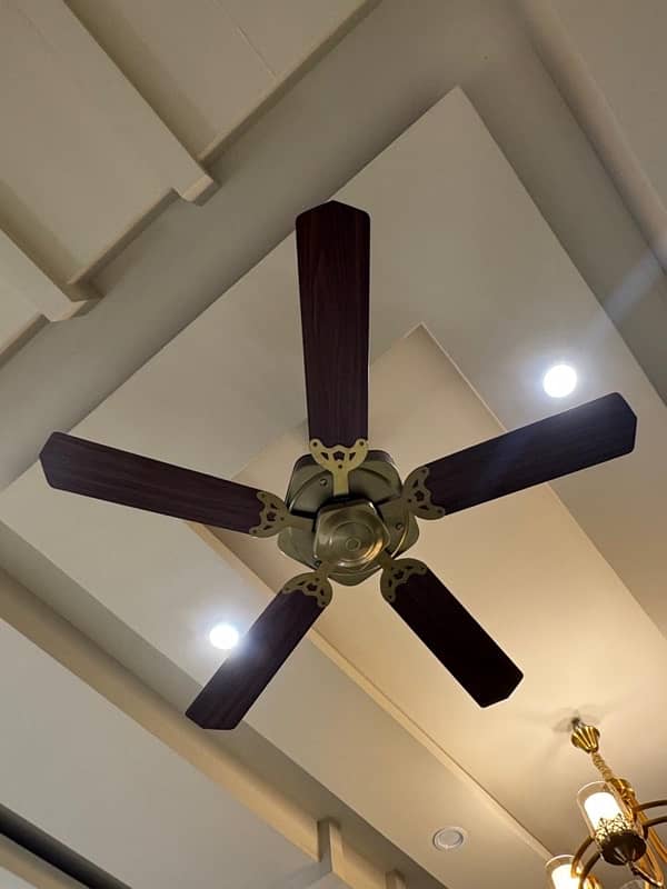 5 blade branded fan in excellent condition 3