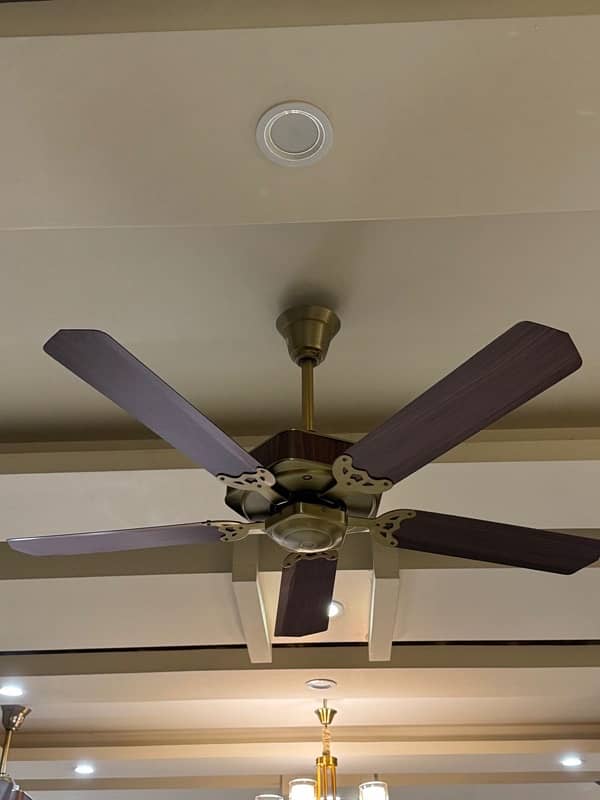 5 blade branded fan in excellent condition 4