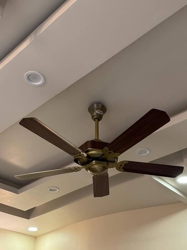 5 blade branded fan in excellent condition 5