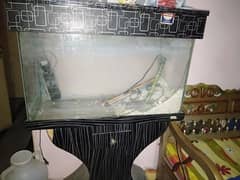 fish aquarium for sale