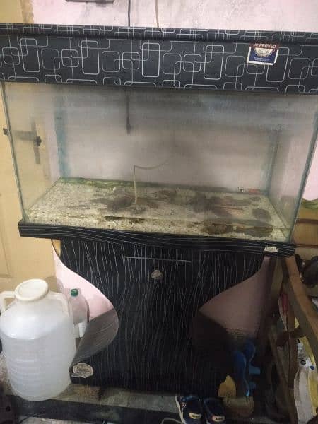 fish aquarium for sale 1