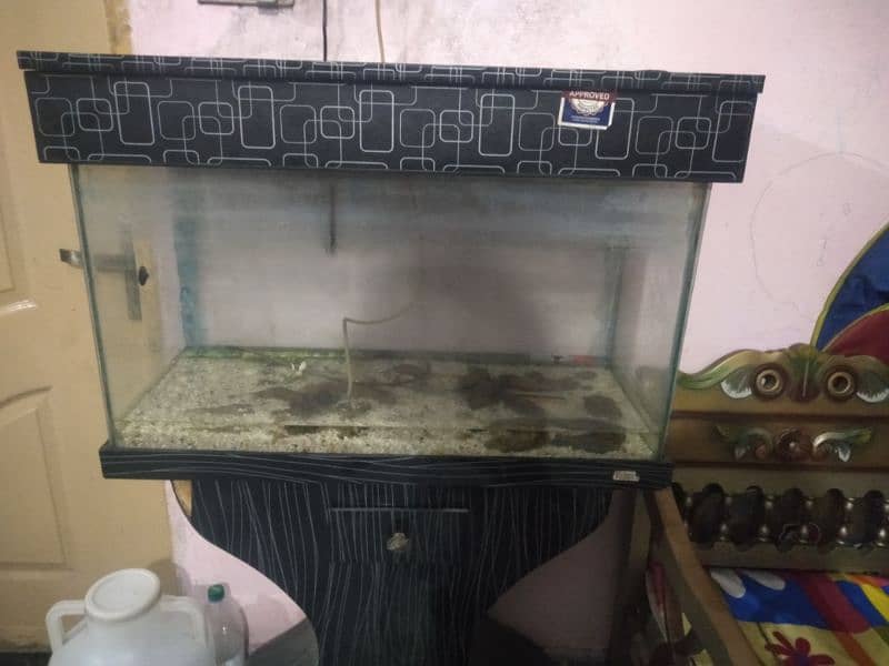 fish aquarium for sale 2