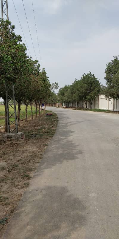 2 Kanal Ready Farmhouse Land On Barki Road Lahore 6