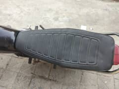 pointer tanky tope seat for sale