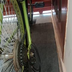 Bicycle for sale