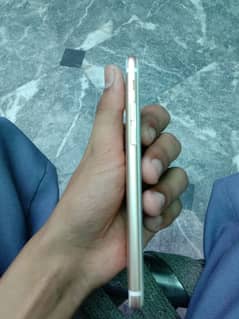 iphone 6 non pta