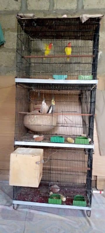 all setup 3 khano ka master cage or birds 7