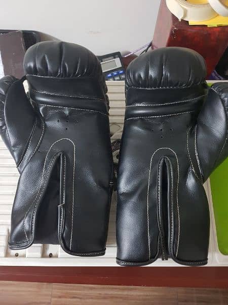 Boxing Gloves 1