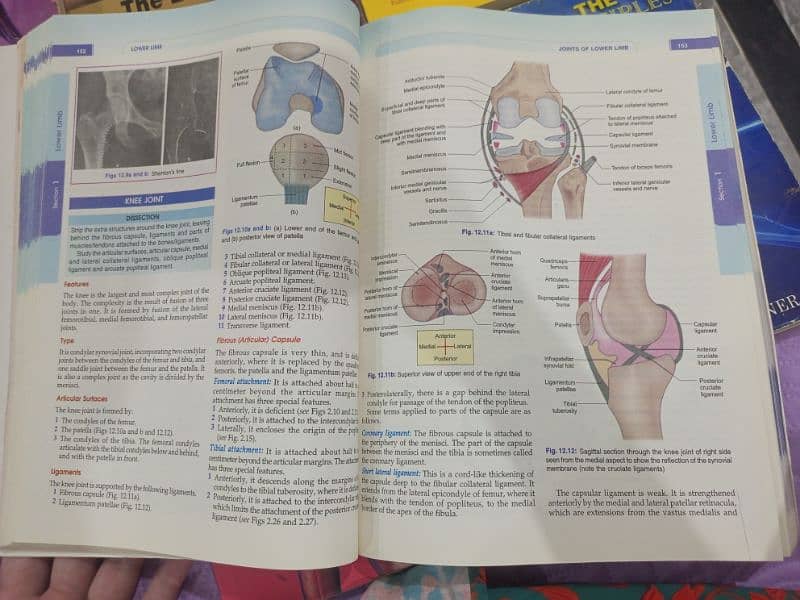 DPT course books for sale including BD chaurasia, Snells Anatomy 1