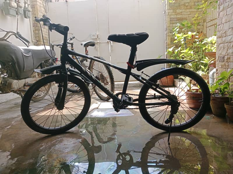 Cycle for sale 2