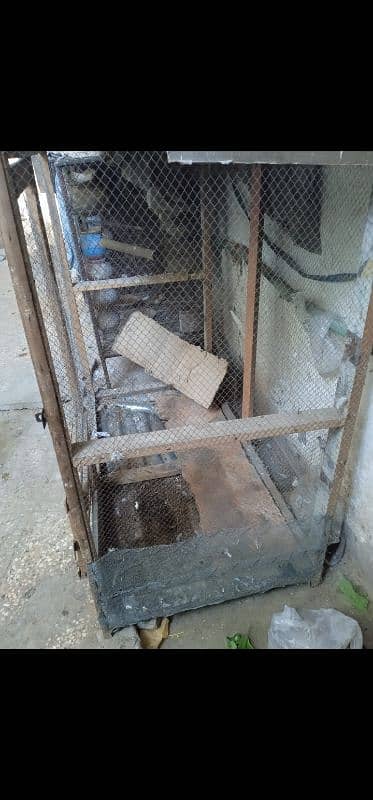 cage for sale 1