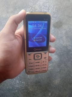 Q Mobile SL100