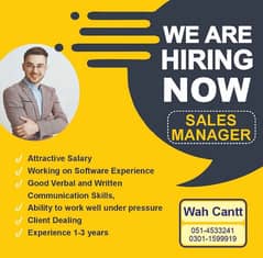 Sales Manager