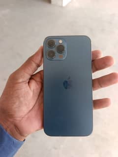 iphone 12pro max lush condition