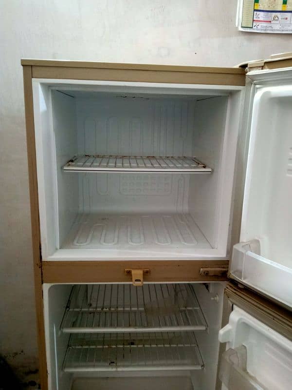 PEL Refrigerator 3