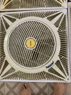 6 fans  cal only