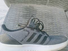 Adidas shoes