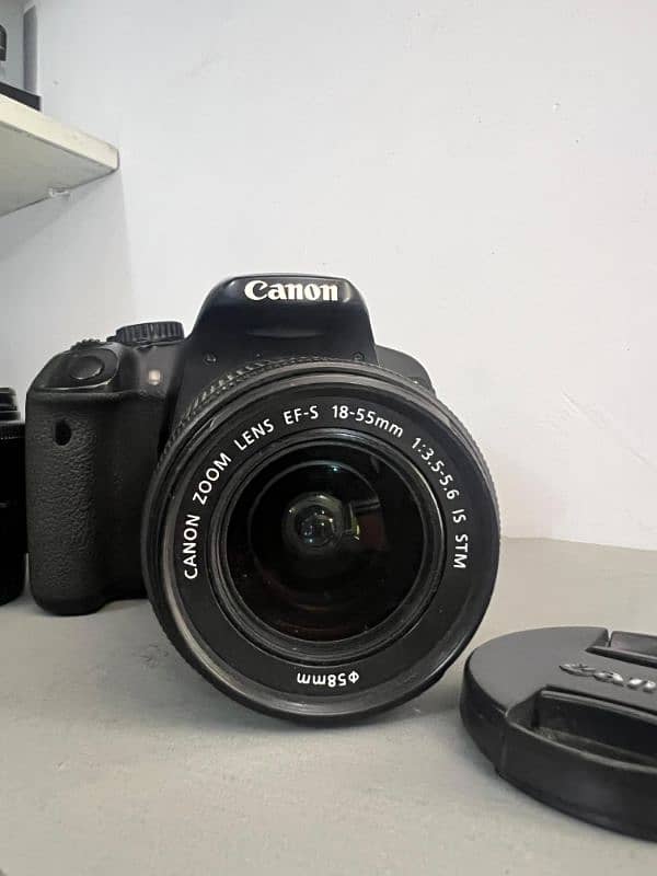 Canon 650d with 18-55 kit lens & 50mm Portrait lens 11