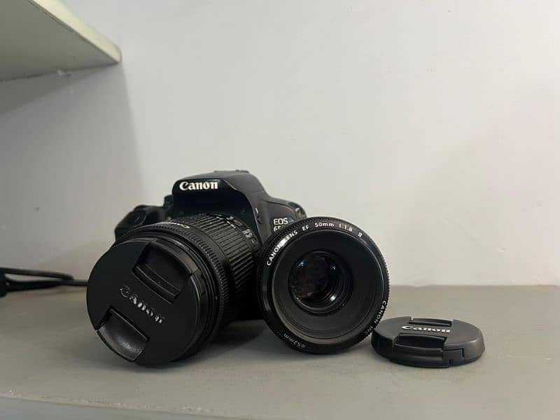 Canon 650d with 18-55 kit lens & 50mm Portrait lens 13