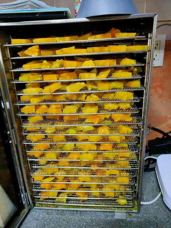 fruits dehydrator | vegetable dehydrator | mango dryer 2