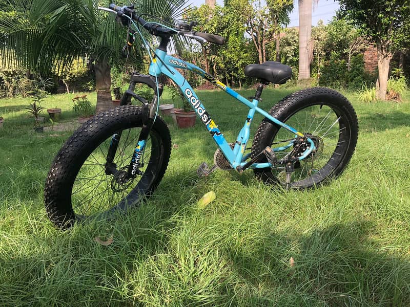 Electric Cycle - Fat Tyer Size 26 inch 3