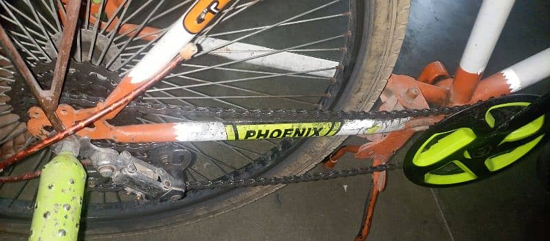 phoenix wheeling japani cycle for urgent sale . 10