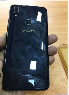 vivo