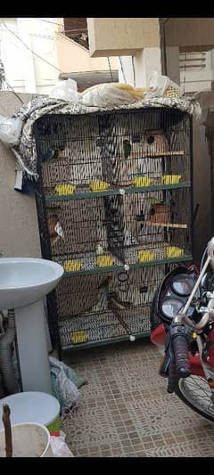 6 portion slightly used cage for sale.