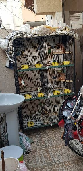 6 portion slightly used cage for sale. 1