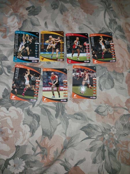 AFL Sports Cards one piece 10