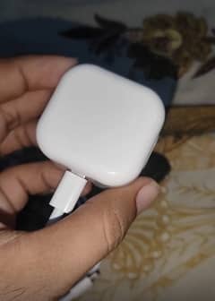 apple adapter 20 watt and cable 0