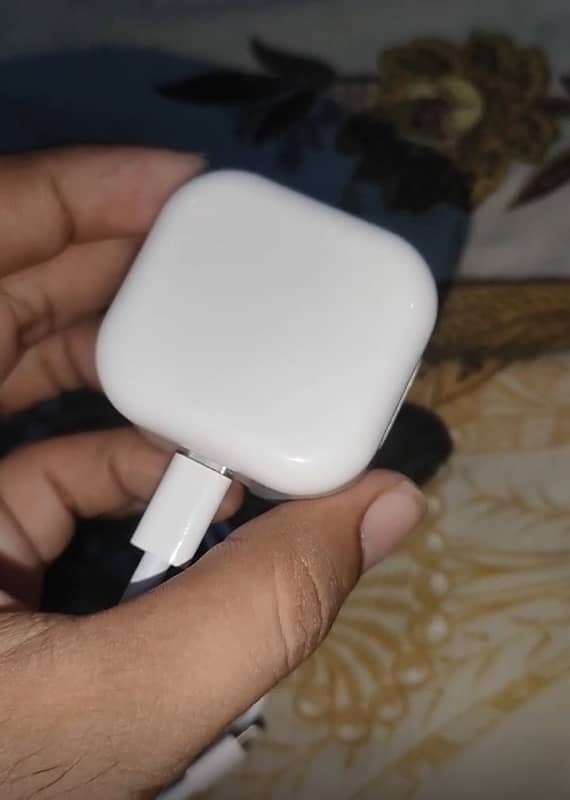 apple adapter 20 watt and cable 0