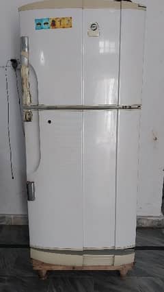 pel fridge 2 doors very spacious condition 10/7 0