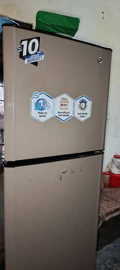 Pel medium fridge