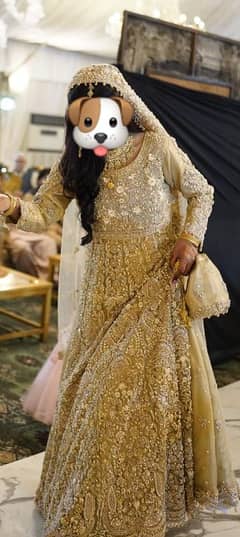 Bridal Walima Dress