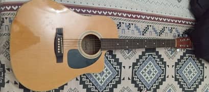 Kapok Acoustic guitar